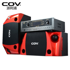 COV CV-269专业KTV音响套装家庭10寸卡拉ok音箱功放机大功率K歌用