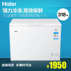 Haier/海尔 BC/BD-318HD 318升 商用家用冰柜冷藏冷冻变温柜冷柜