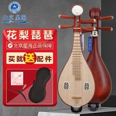 北京星海民族乐器8412-2专业花梨红木清水柳琴乐器初学练习送配件