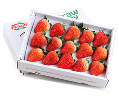 百宝源  安徽红颜甜草莓礼盒奶油草莓鲜草莓 水果草莓2盒顺丰包邮