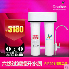 Doulton/道尔顿台下净水器F-IP201家用直饮正品厨房高级净水机