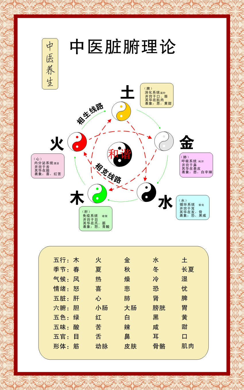 756海报印制展板写真喷绘808中医脉络图脏腑理论金本水土火图解 新