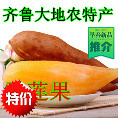 新鲜水果 特价促销 雪莲果 菊薯 美味营养精品5斤装 包邮