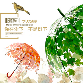 雨燕小清新树叶枫叶直柄加厚可爱男女蘑菇拱形公主透明鸟笼雨伞