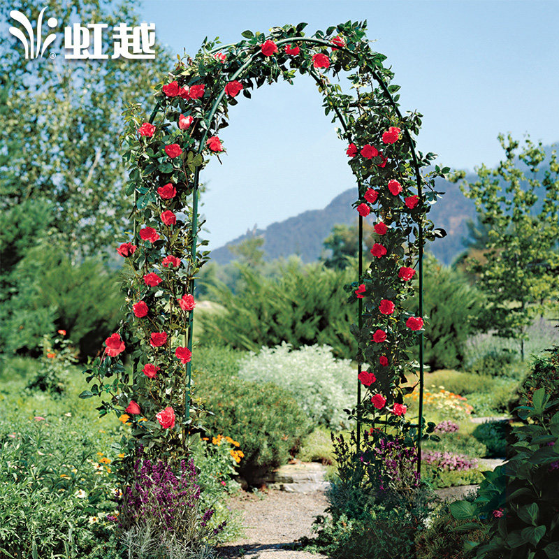 省5元 欧式庭院拱门花架爬藤架 花园装饰园艺支架蔷薇月季攀爬植物