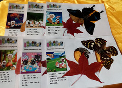 喜洋洋香山蝴蝶标本枫叶贺卡片红叶标本贺卡书签卡通特色手工