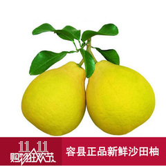 【果韵优味】容县正宗沙田柚广西新鲜水果 玉林 柚子9斤白肉柚子
