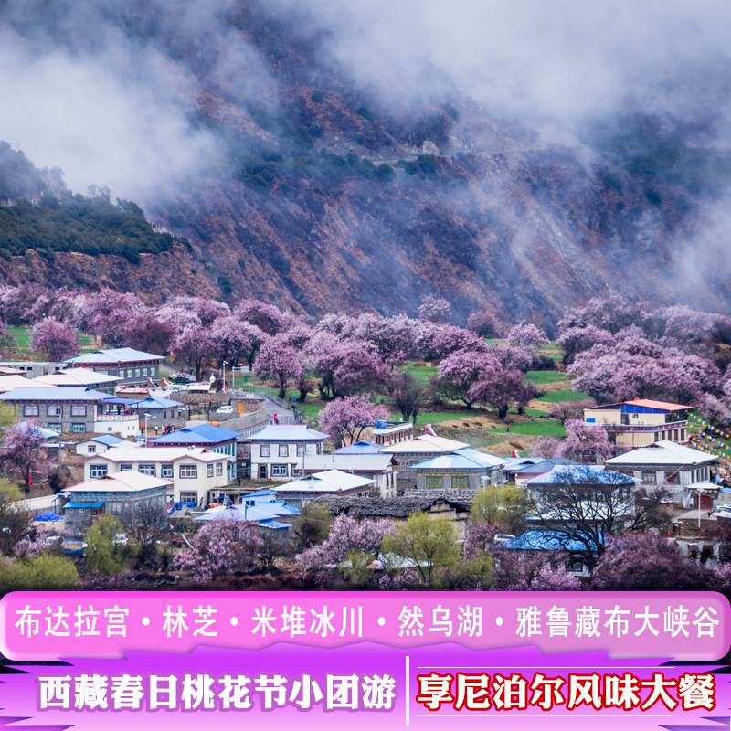 西藏旅游纯玩9天8晚拉萨布达拉宫林芝雅鲁藏布桃花节vip小包团