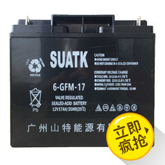 山特UPS电源/直流屏/太阳能12v17AH免维护铅酸蓄电池6GFM17电瓶