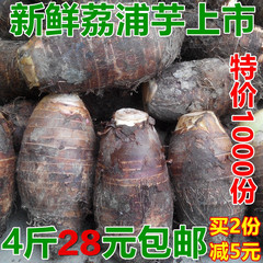 广西桂林特产 荔浦芋头 槟榔芋 新鲜芋头  2000g/4斤 包邮