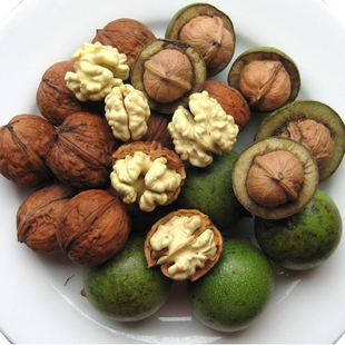青皮核桃新鲜带绿皮