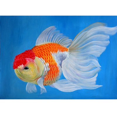 郭伟 油画《金鱼》