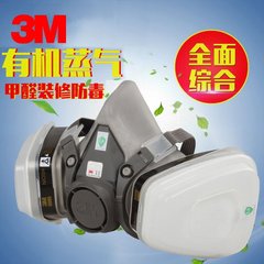 3M 6200防毒面具防甲醛 油漆装修面罩有机蒸气口罩 七件套配6005