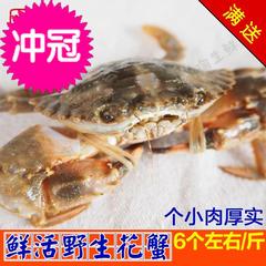 野生石蟹/花盖蟹/海螃蟹 鲜活海鲜花蟹雌雄对6只左右/斤 活体发货