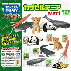 [52TOYS]TAKARA TOMY 扭蛋 动物园系列狮子鳄鱼乌贼鲸鱼第1弹现货