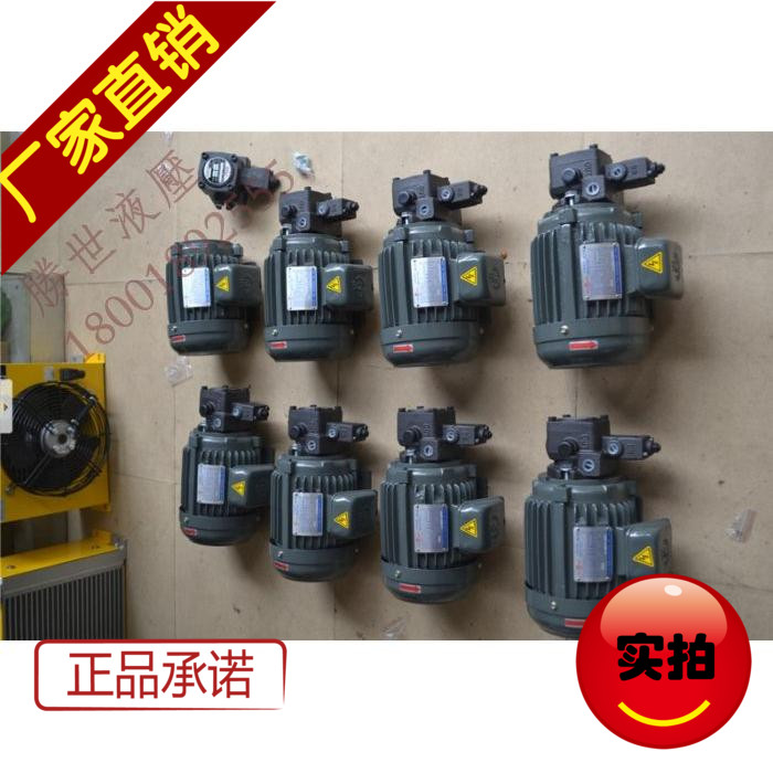 ELITE液压 油泵电机组 2HP1.5kw配VP20  15 12 油泵马达组合