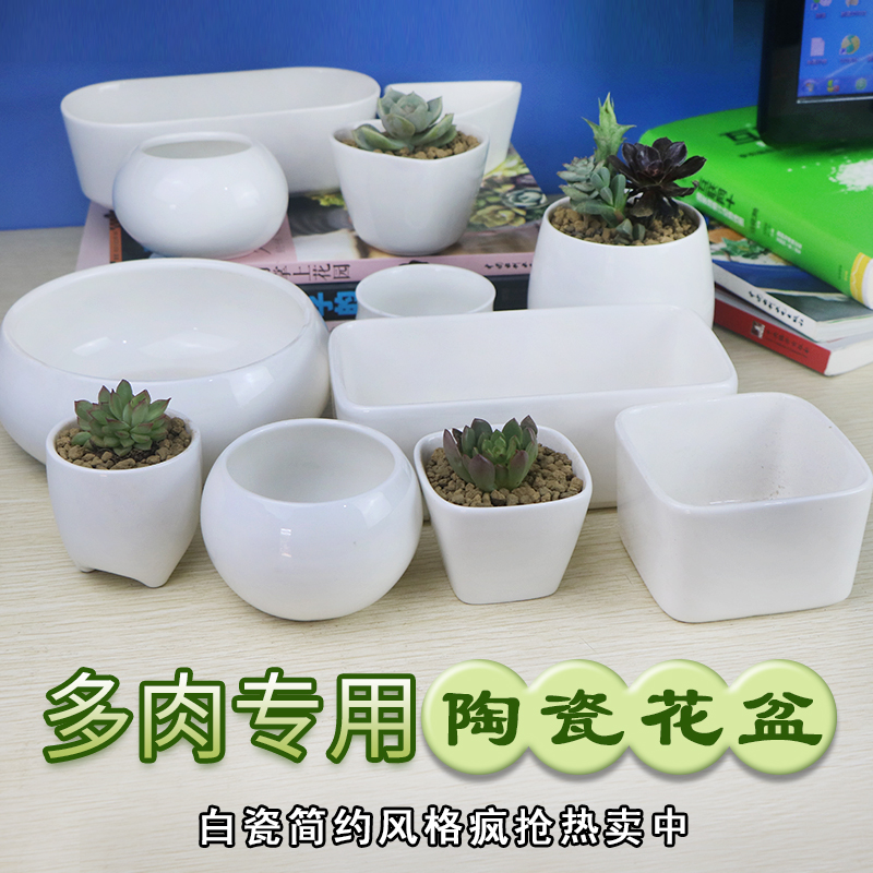 盛天下 多肉植物用陶瓷盆 专用花器 陶瓷花盆 简约风格 多款白瓷产品展示图1