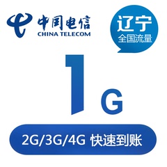 辽宁电信流量充值1G 全国通用手机流量叠加包充值 当月有效