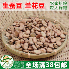 生蚕豆干胡豆农家自产零食坚果特产美食兰花豆250g