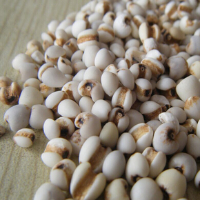 山里野荷农家自种小薏米500g湘潭优质精选特级香糯薏米仁南北特产