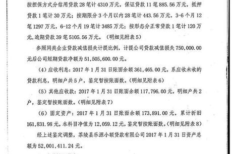 关于茶陵县乐源小额贷款有限公司入股的10%股权