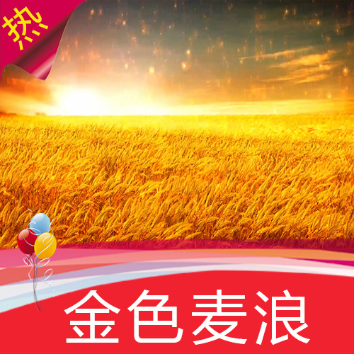 金色麦浪 麦田 小麦 丰收 秋天 舞台背景 节目演出