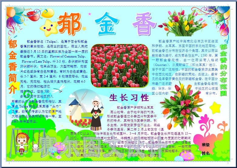 郁金香电子小报成品花植物介绍电脑手抄报自然科学简报模板2158a4