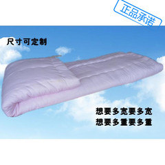 高档新棉花 棉垫子 冬冬垫被  褥垫 双人床被褥 垫絮 1.5*2m 3斤
