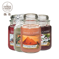 Yankee Candle扬基蜡烛新品无烟香薰蜡烛礼物非洲系列香氛大瓶装