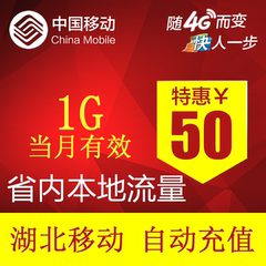 湖北移动流量充值 1GB 省内2G/3G/4G通用 本地流量包 自动充值