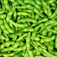 云南元谋大青枣!来自中国冬早蔬菜之乡无公