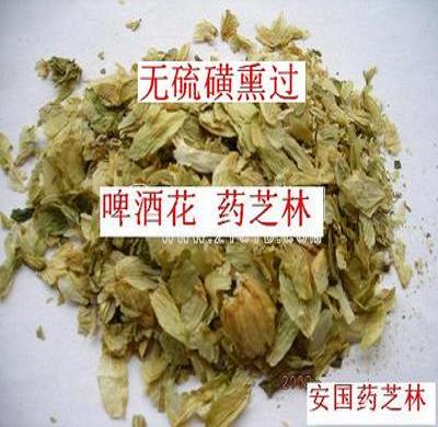 啤酒花 酵母花 面包酵母干 新疆啤酒花500克量大包邮|ruв категории зерно риса/север и Юг сухих грузов/приправы, другие продукты - от Buy2taobao.com для оказания профессиональной услуги покупки агента Taobao