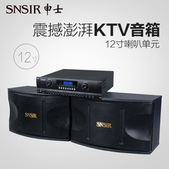 SNSIR/申士 E-10音箱12寸  P-46功放12寸 家庭ktv音响套装