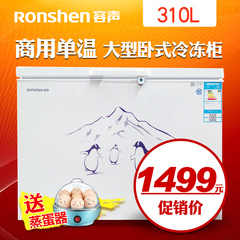 Ronshen/容声 BD/BC-310MS 大冰柜冷柜 商用冷藏 单温卧式冷冻柜