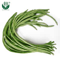 【粤旺】新鲜有机蔬菜 豇豆长豇豆 豆角 500g