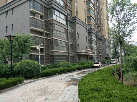 【第一次拍卖】位于聊城市东昌府区湖南西路北侧新东方龙湾小区第15幢