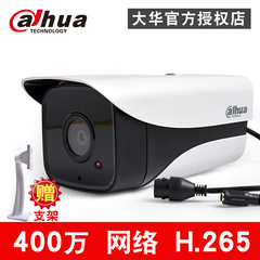 大华400万网络高清红外摄像头H.265监控摄像机DH-IPC-HFW4436M-I1