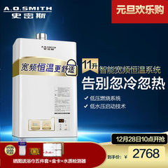 A．O．Smith/史密斯 11升TA 宽频恒温型燃气热水器 天然气 强排型