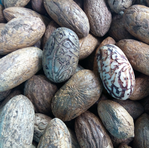 千眼菩提子原籽大