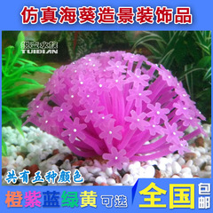 仿真海葵 软体硅胶珊瑚海葵海胆水母 鱼缸造景水族箱装饰品多色