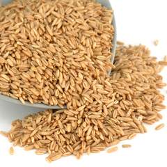 农家新优质燕麦米 燕麦仁 野麦 雀麦 麦子 500g 有机天然五谷杂粮