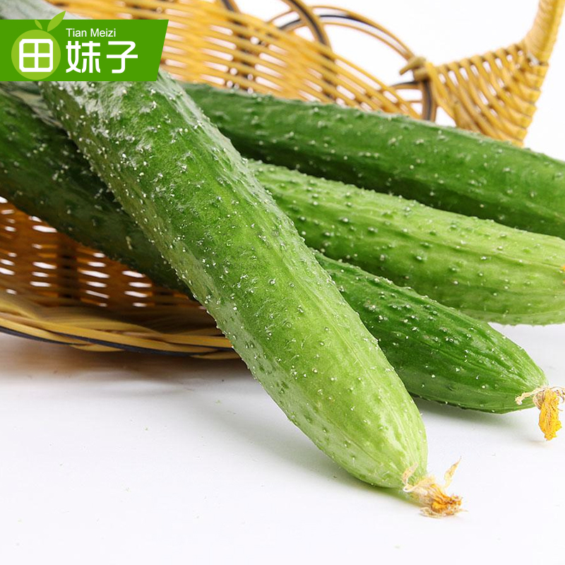 【田妹子】新鲜蔬菜水果刺黄瓜 绿色蔬菜沙拉1斤装 菜园直发产品展示图3