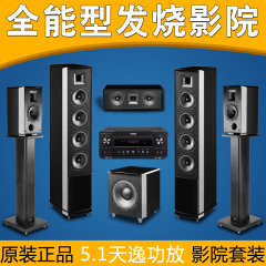 澳洲Accusound HD2发烧5.1家庭影院天逸9215功放HiFi音箱音响套装