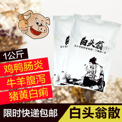 白头翁散 猪药止痢拉稀兽药饲料添加剂牛羊药兔痢疾肠炎大肠杆菌