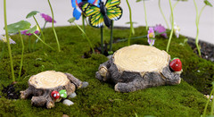 鱼缸造景 苔藓微景观饰品 多肉 DIY组装小摆件玩具 蘑菇树桩