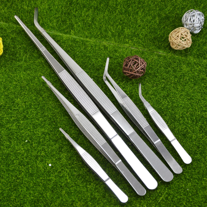 施王蚁馆不锈钢圆头带齿敷料镊子