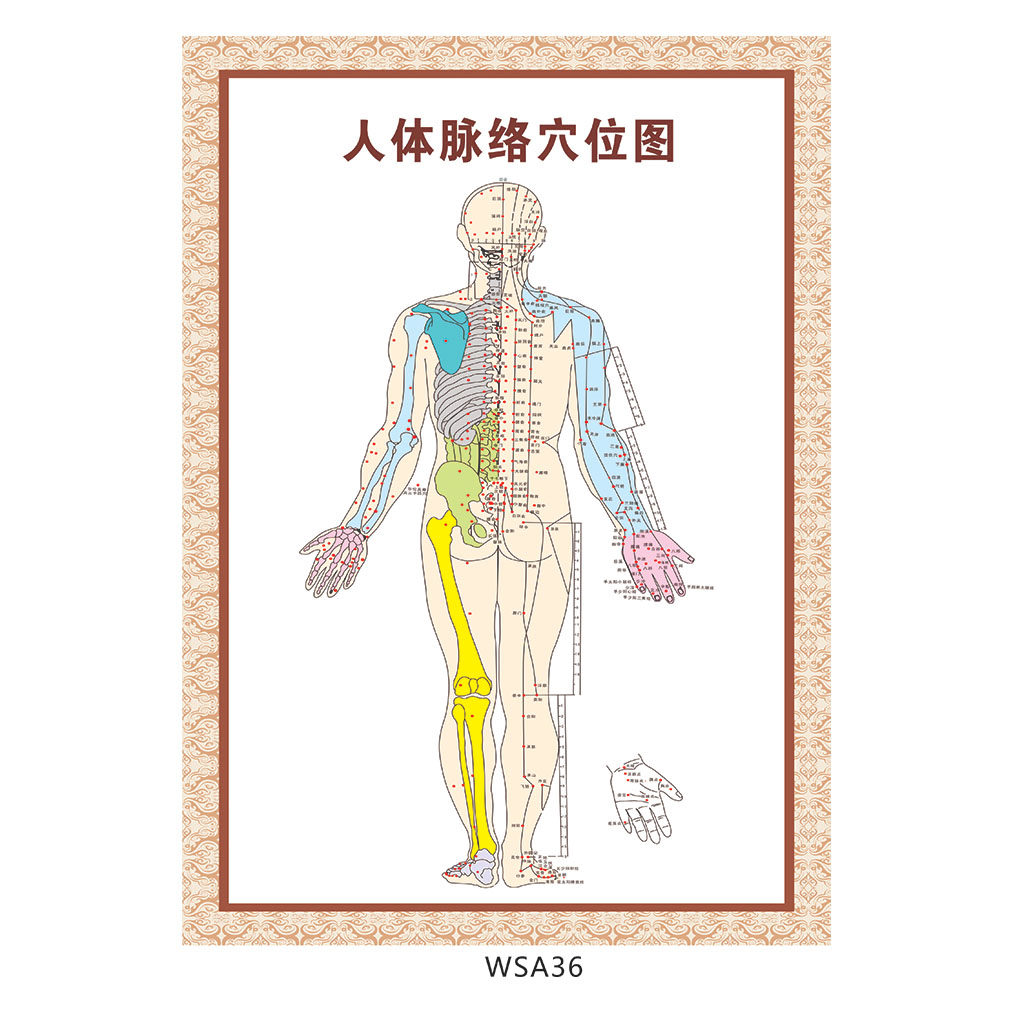 中医文化宣传画中医养生挂图示意图人体脉络穴位位图其它印刷制品