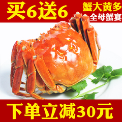 【买6送6】阳澄湖大闸蟹 鲜活现货螃蟹全母蟹2.2-2.5两礼盒装