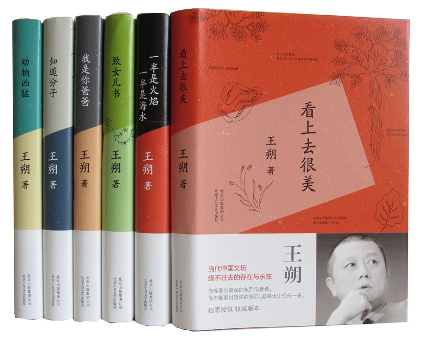 鑫海鼎盛图书专营店的优惠券大全—王朔文集:我是你爸爸 一半是火焰