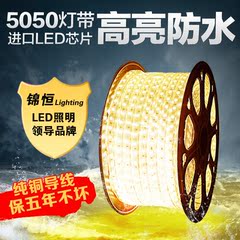 LED灯带 高亮5050灯带 卧室客厅吊顶3528高亮led软灯条灯带